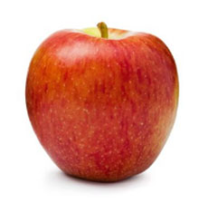 fruits vegetables packing new zealand limited