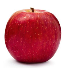 fruits vegetables packing new zealand limited