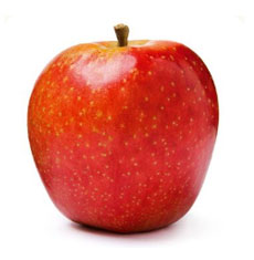 fruits vegetables packing new zealand limited