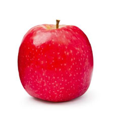 fruits vegetables packing new zealand limited