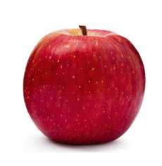 fruits vegetables packing new zealand limited