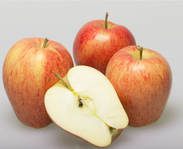 fruits vegetables packing new zealand limited