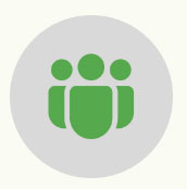 fruits vegetables packing new zealand limited