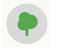 fruits vegetables packing new zealand limited